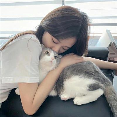好莱坞，我爱你